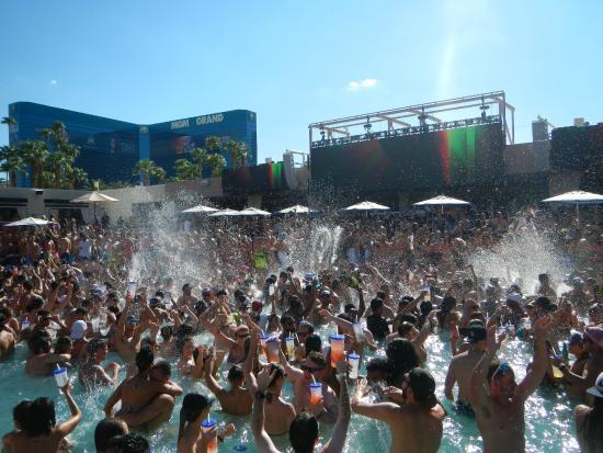 Las Vegas Pool Party Crawl — Unlock Las Vegas - The Highest Rated